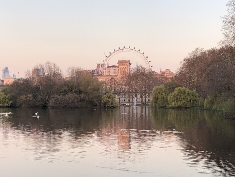Image of St James Park Lake in London with Millenium wheel in the background